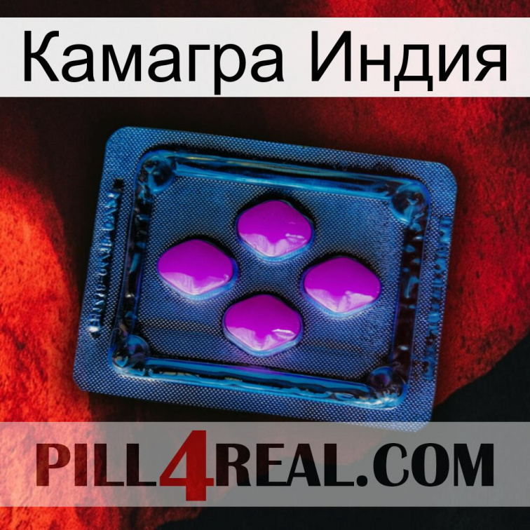 Камагра Индия 04